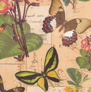 papel decorativo mariposas
